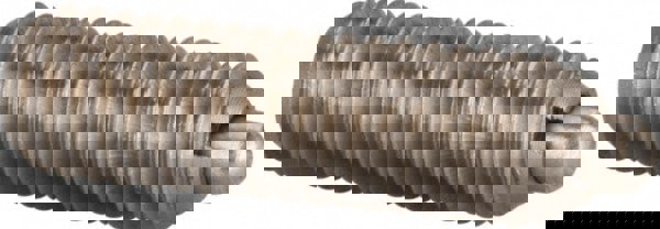 Threaded Spring Plunger: M6 x 1, 0.787